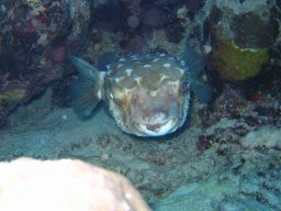 marsa_alam_200510 226